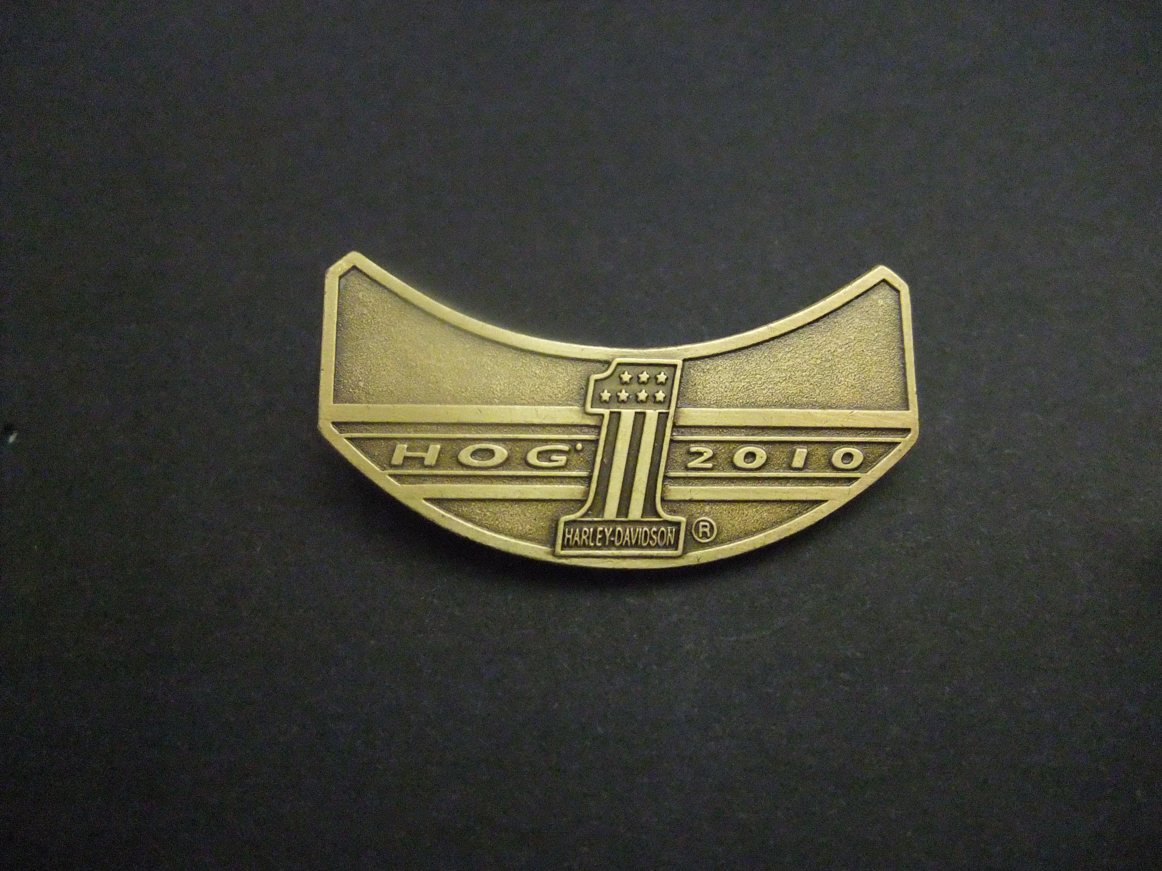 Harley Owners Group (H.O.G.) 2010 logo